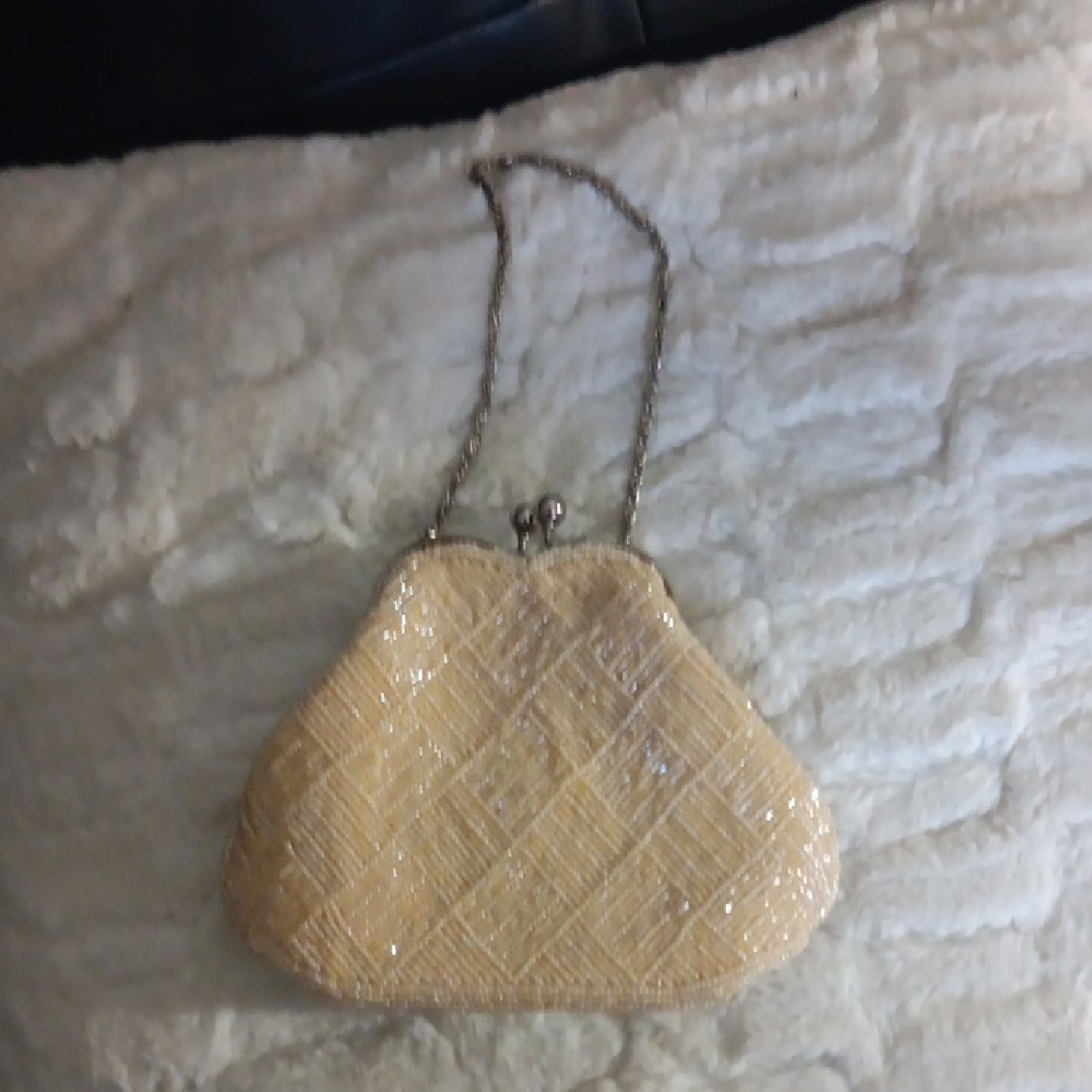 Bijoux Terner Elegant Cream Evening Clutch